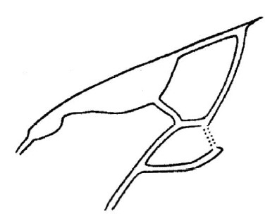 part of the front wing