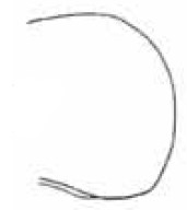 posterior end of female carapace in lateral view