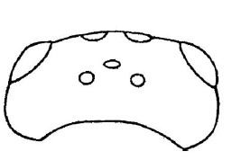 head, dorsal view