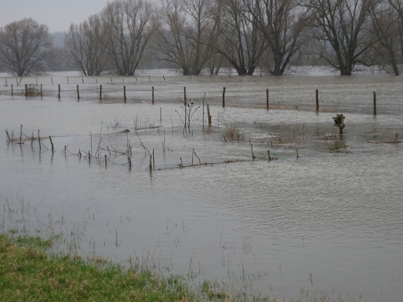 moestuin-winter.jpg