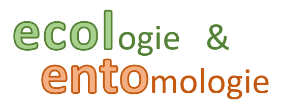 ecolento